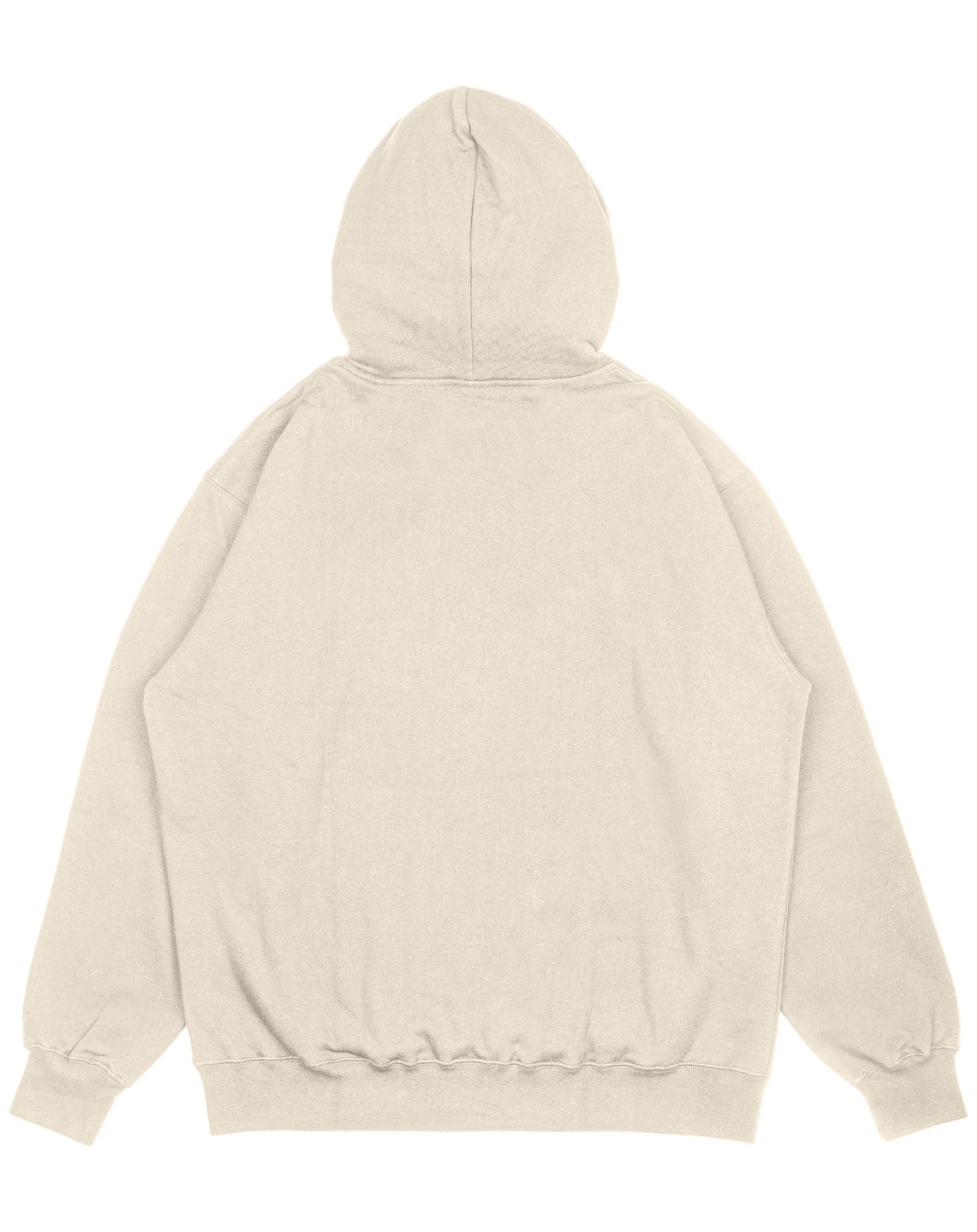 Hoodie beige OVERSIZE Unisex Nasa